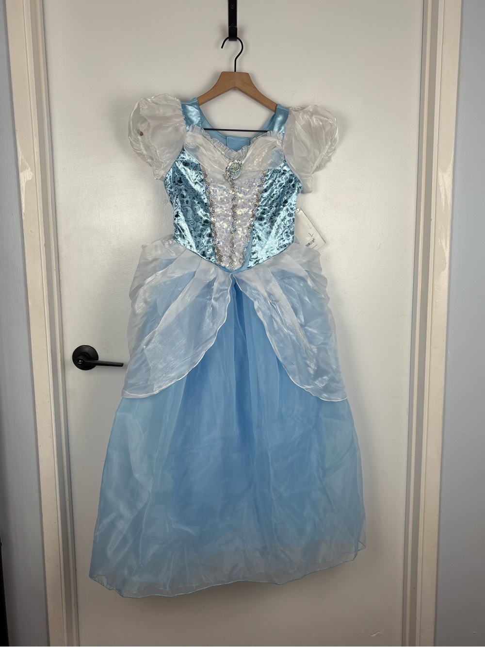 Disney Parks Cinderella Blue Gown Costume Dress